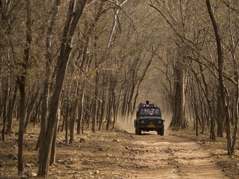 Johila Jeep Safari