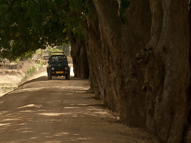 Panpatha Jeep Safari