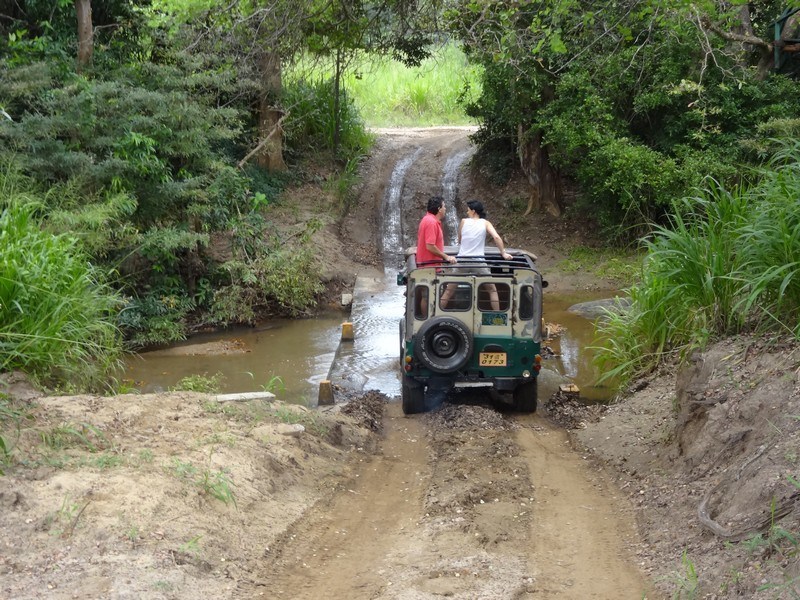 Jeep Safari - Kulgi