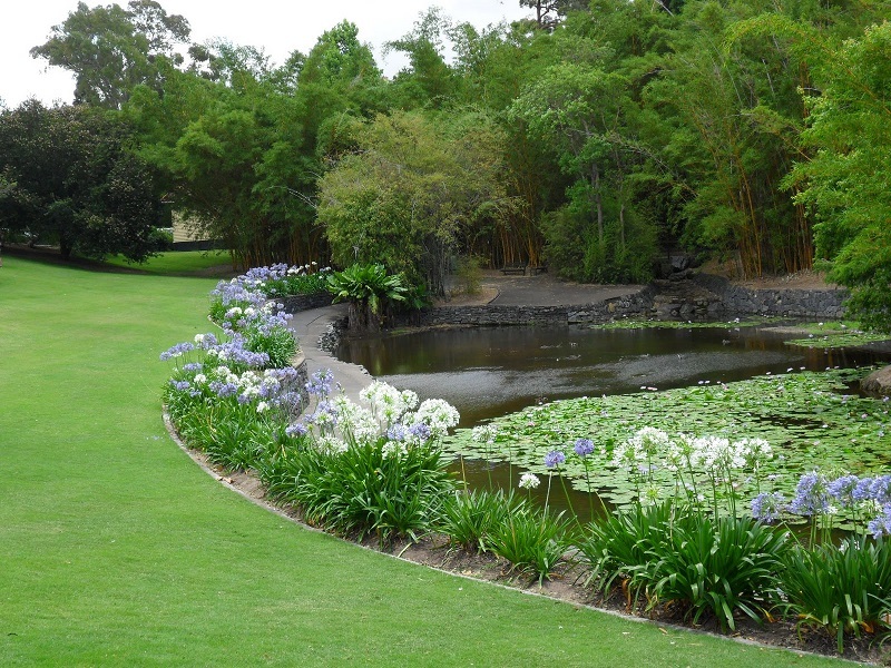 Jawaharlal nehru botanical garden