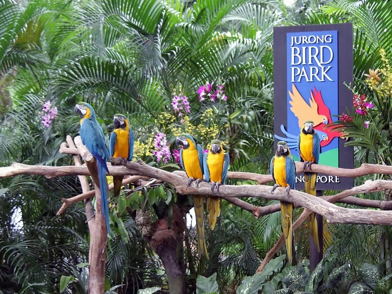 river safari or jurong bird park