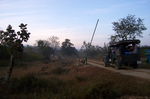 bandipur national park jeep safari