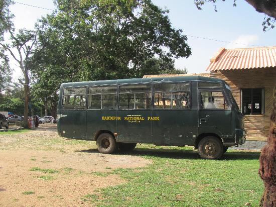Mini-bus Safari - Bandipur