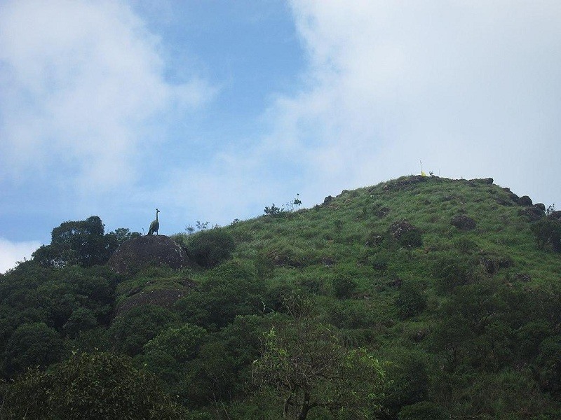 Muruganmala / Murugan Hill