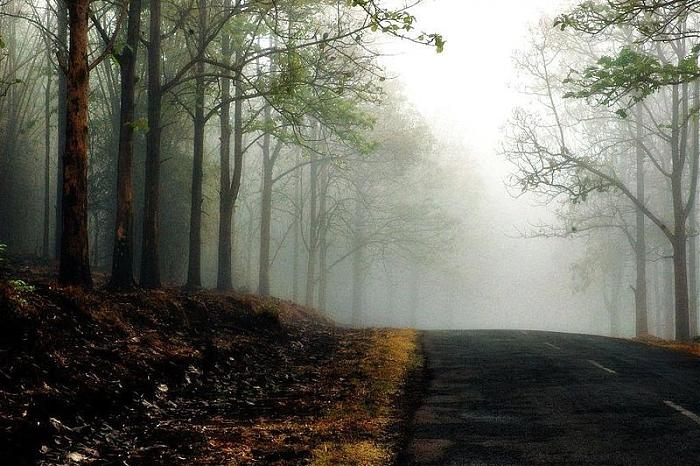 Sultan Bathery, Wayanad, Kerala