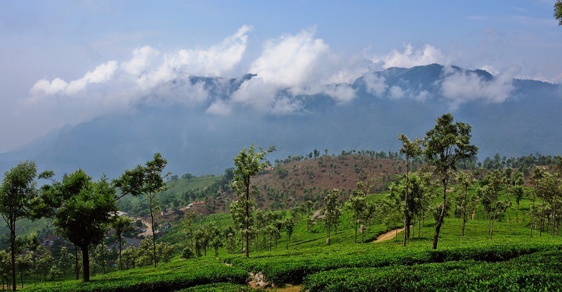 Coonoor, Tami
lnadu