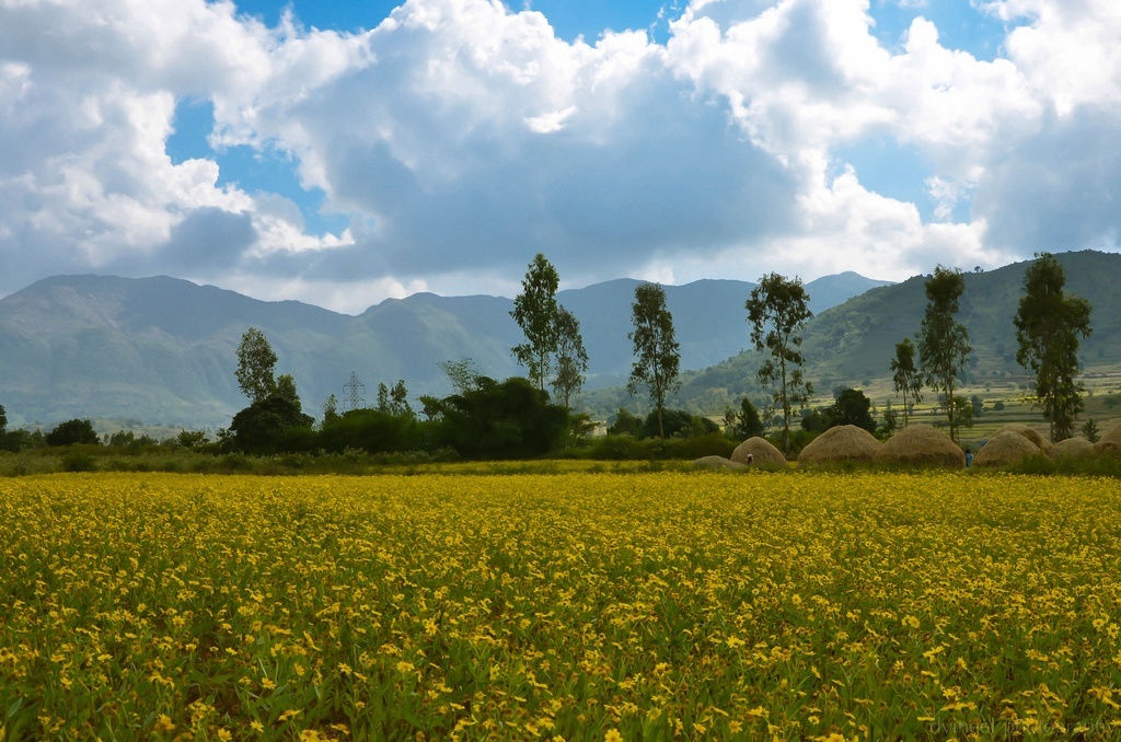 Araku Valley