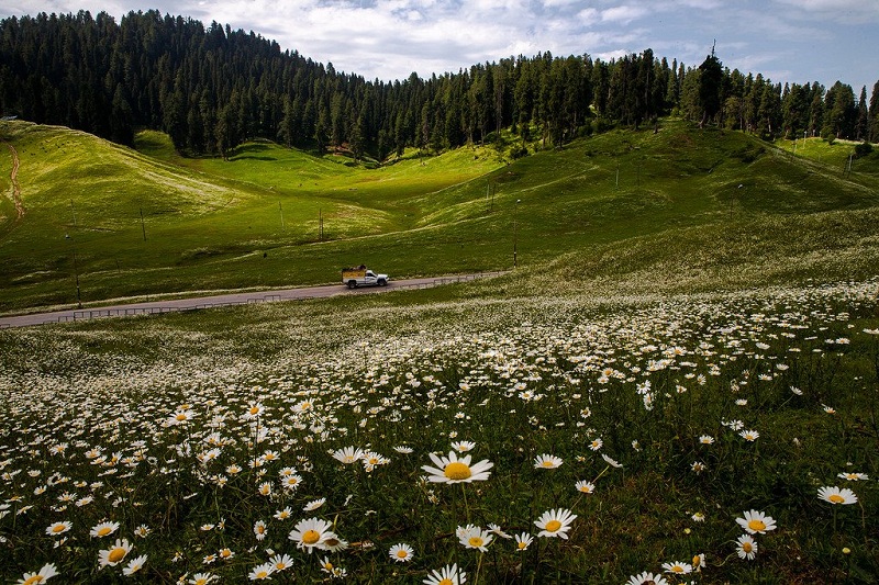 Gulmarg, Jammu and Kashmir