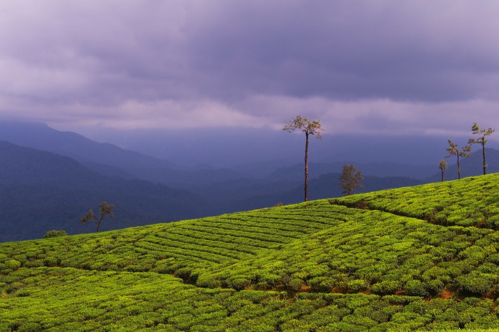 Valparai