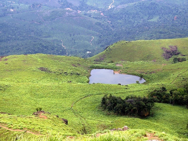 Wayanad