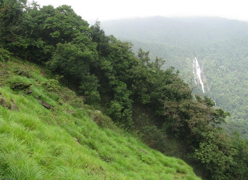 Agumbe