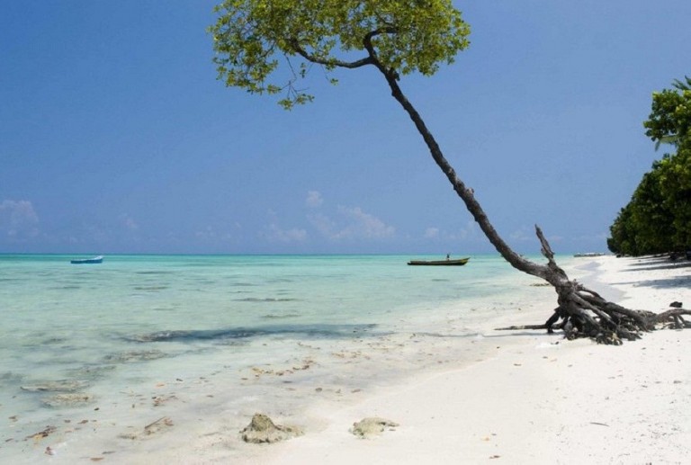 11 Most Romantic Honeymoon Destinations In India 2019 Trawell Blog