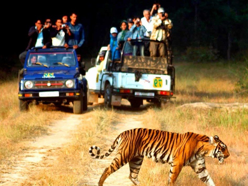 Jim Corbett