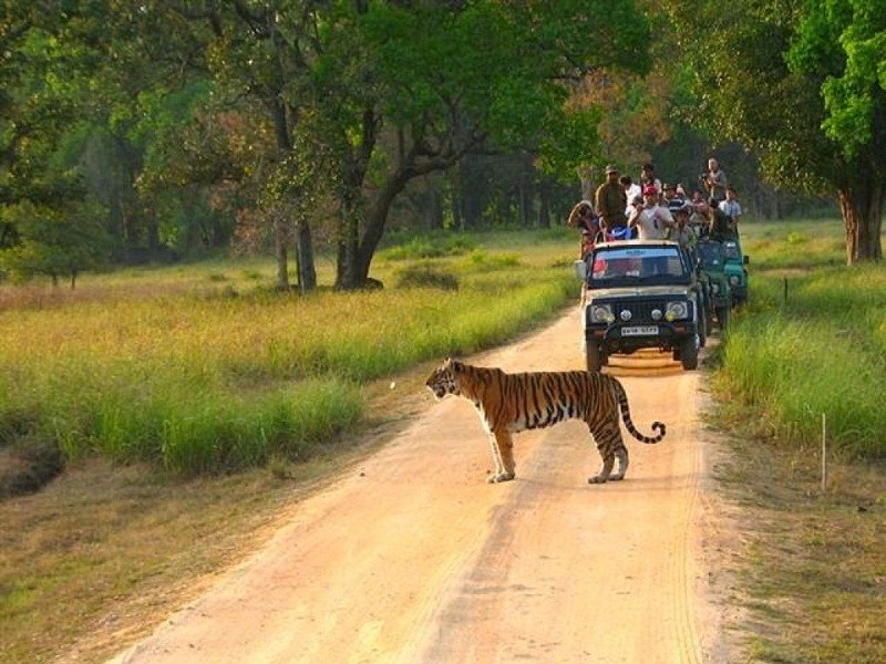 Kanha National Park