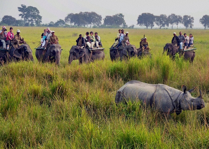 Kaziranga