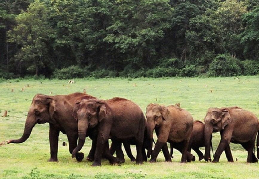 Nagarhole National Park