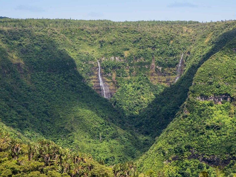 Black_River_Gorge_National_Park