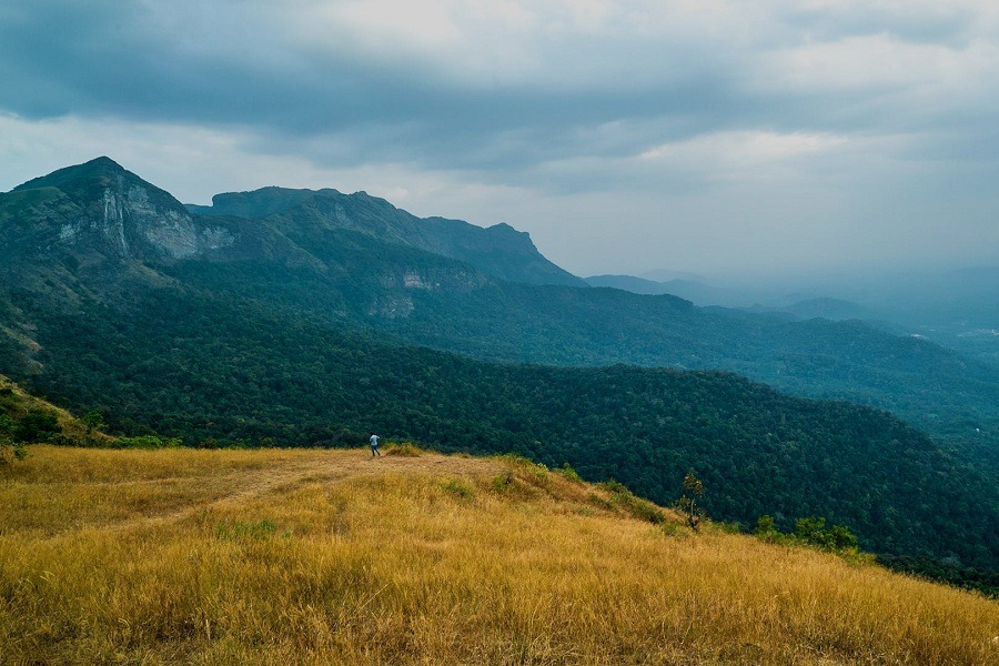 Trekking in Chikmagalur