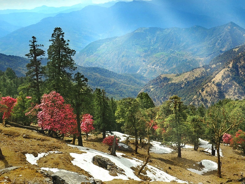 Almora