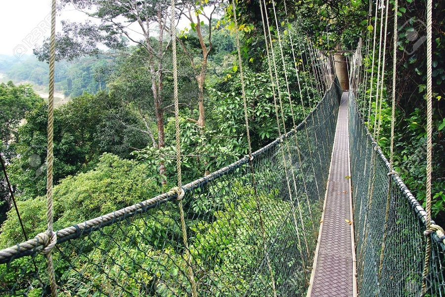 Taman Negara