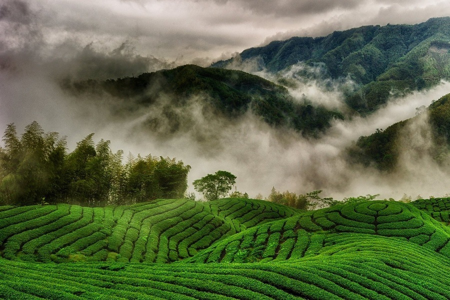 Darjeeling