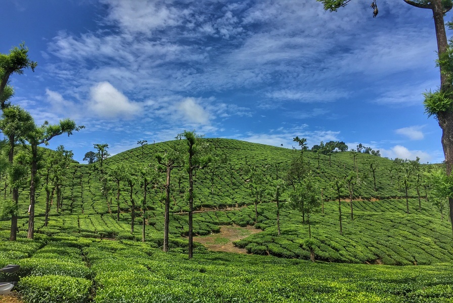 Valparai