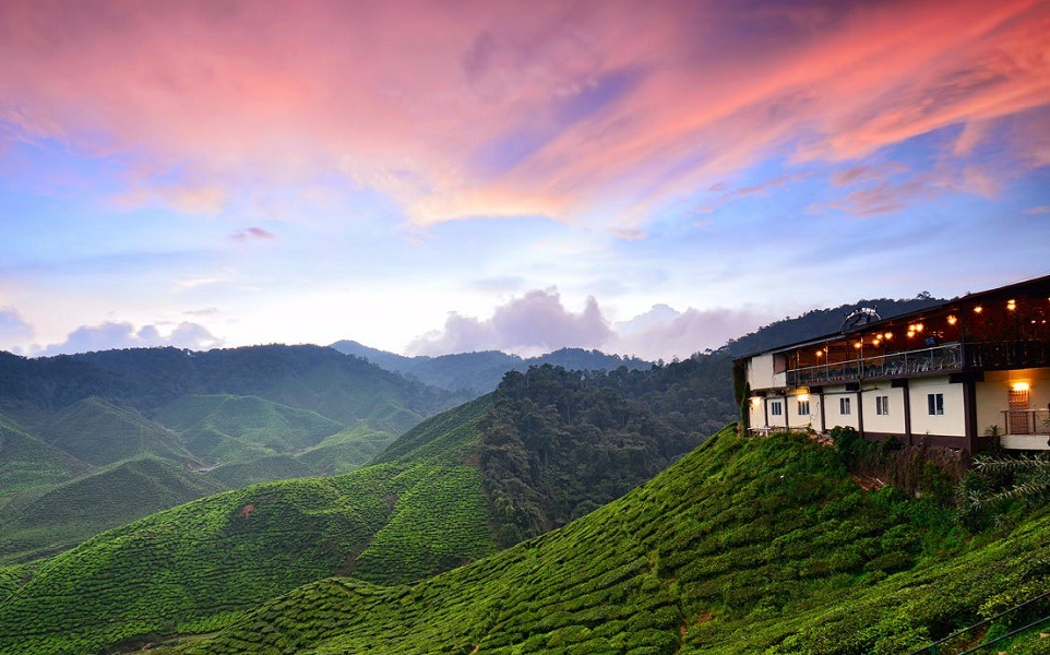 Cameron Highlands