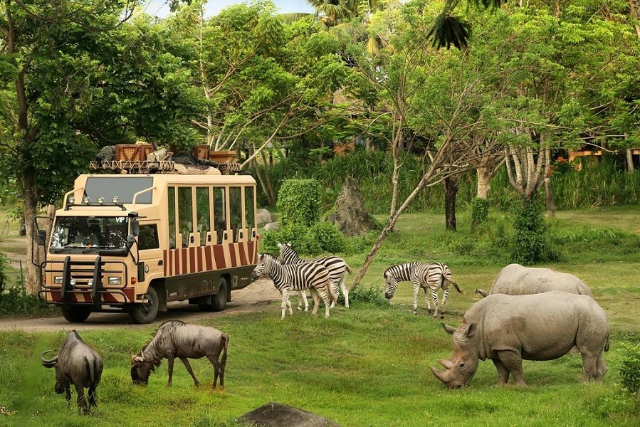 Safari_World