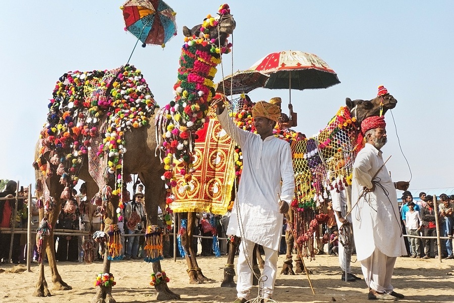 Pushkar Camel Fair