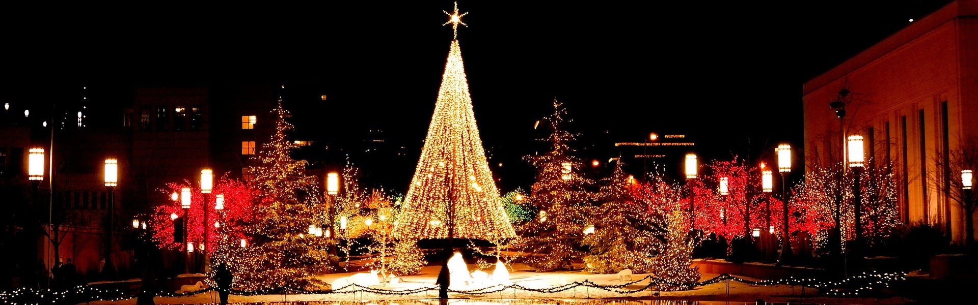 13 Most Famous Festivals in December in India