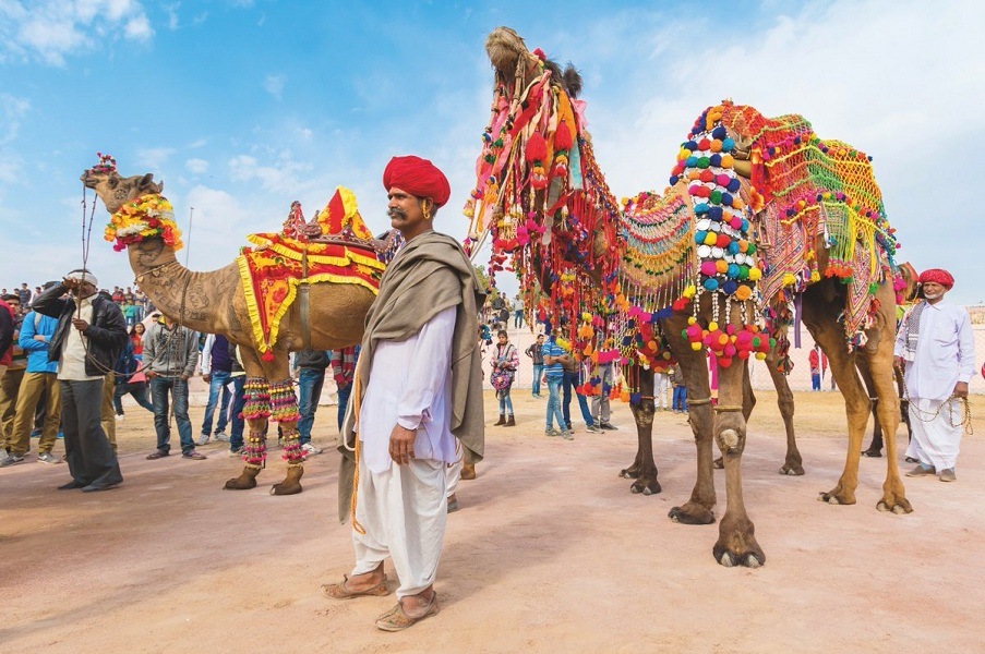 Bikaner Camel Festival