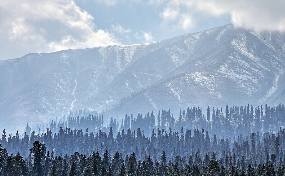 Gulmarg