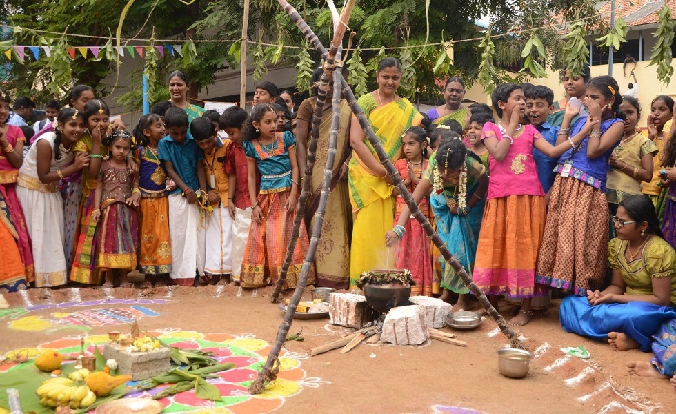 Pongal