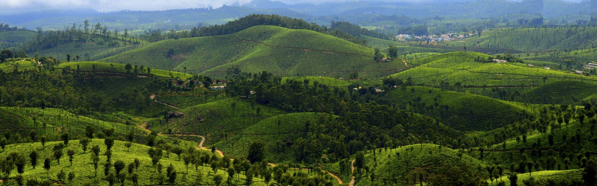 Valparai
