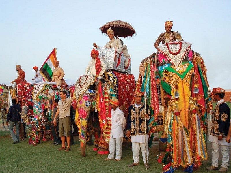 Elephant Festival, Jaipur