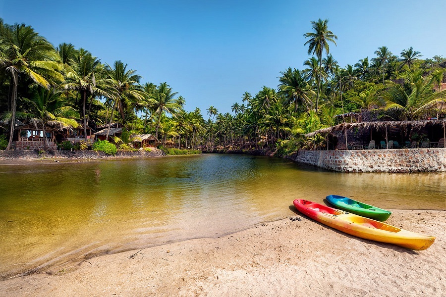 Goa1