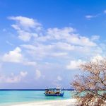 Places to Visit in March in India