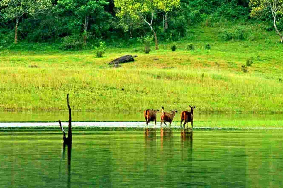 Thekkady