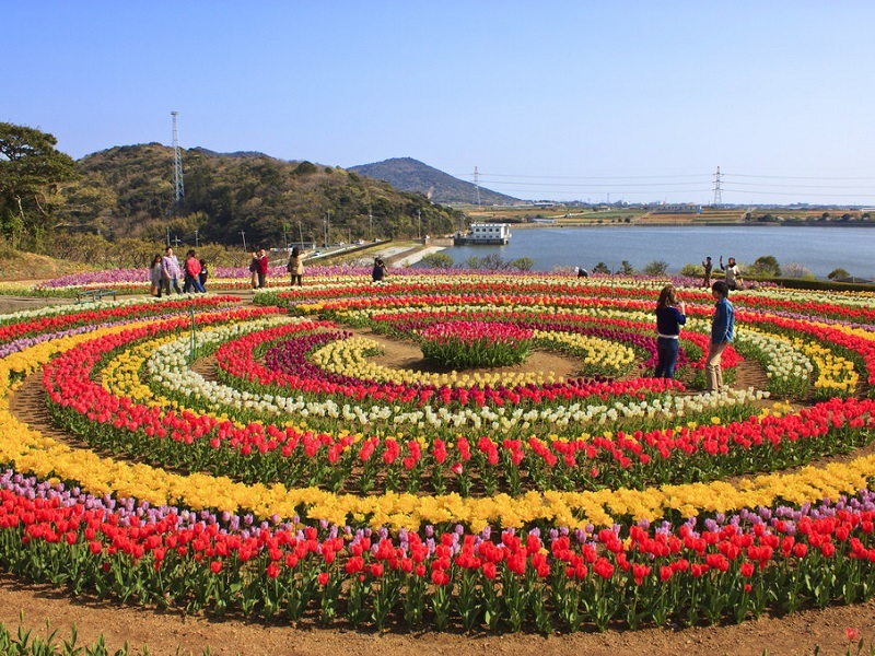 Tulip Festival, Srinagar