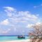Andamans