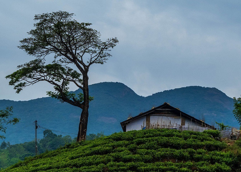 tourist places in india during october