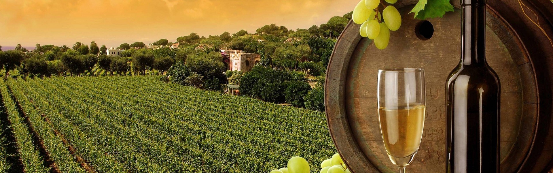 Wine_Regions_India
