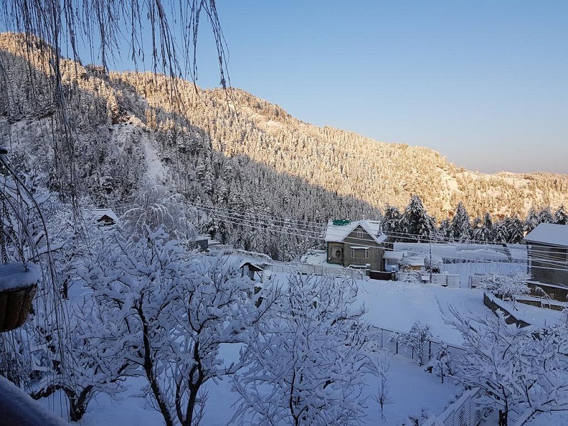 shimla tourist places snow