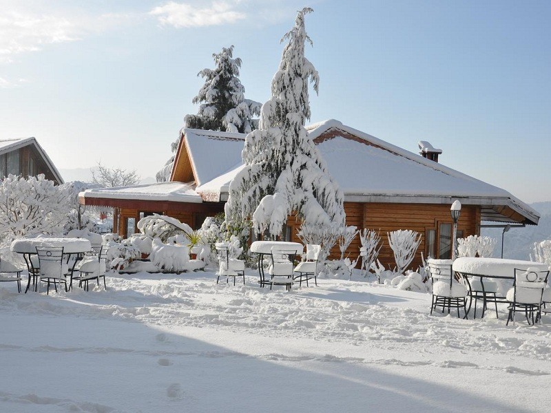 shimla tourist places snow