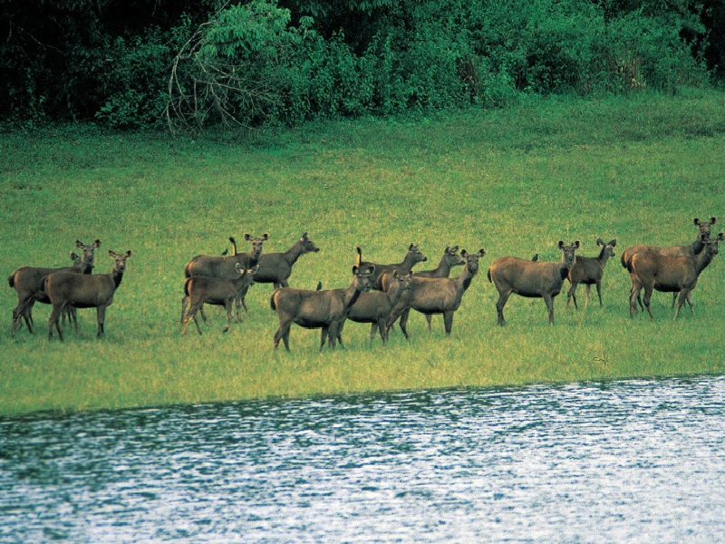 munnar nearby tourist places