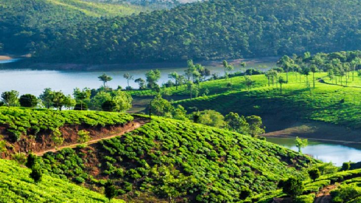 tourist spots in munnar