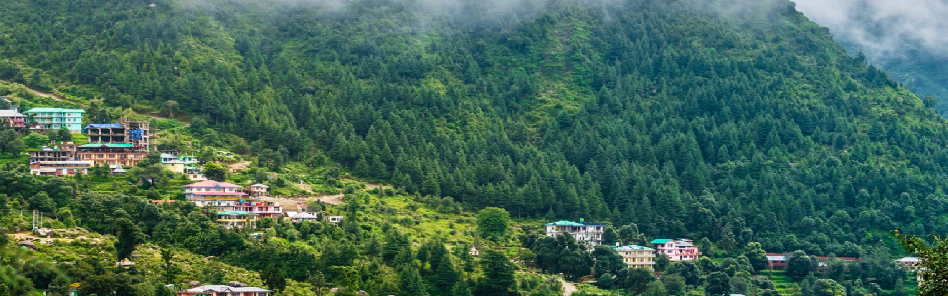 Best Things to do in Dharamshala