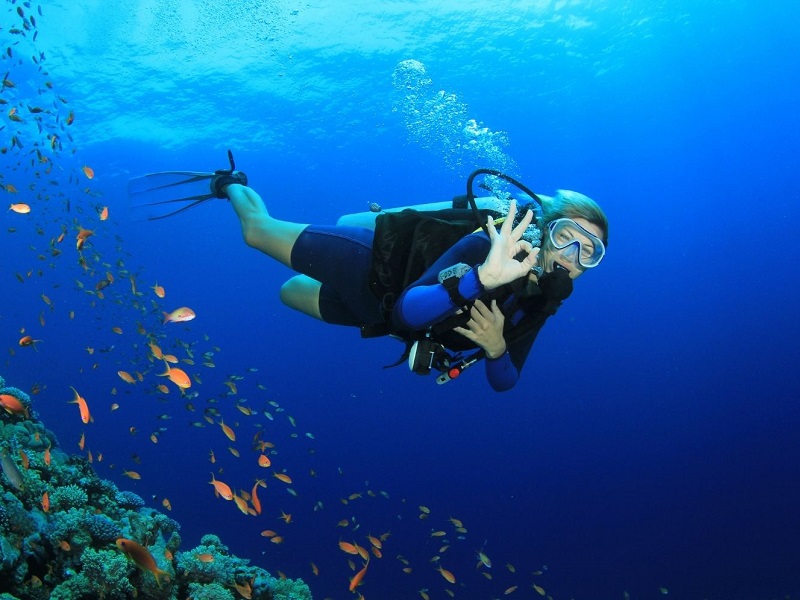 Best Spots to Try Scuba Diving in India | Trawell Blog