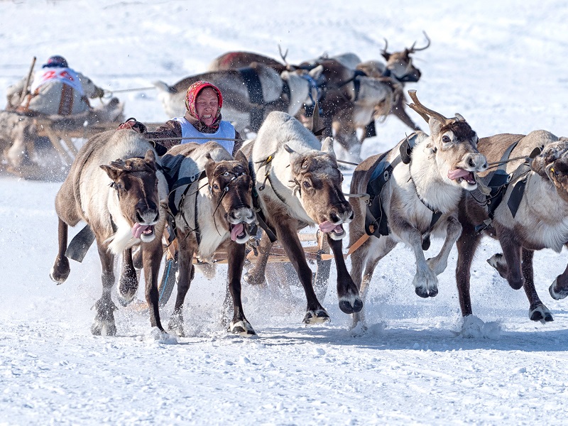 Popular Festivals Of Russia