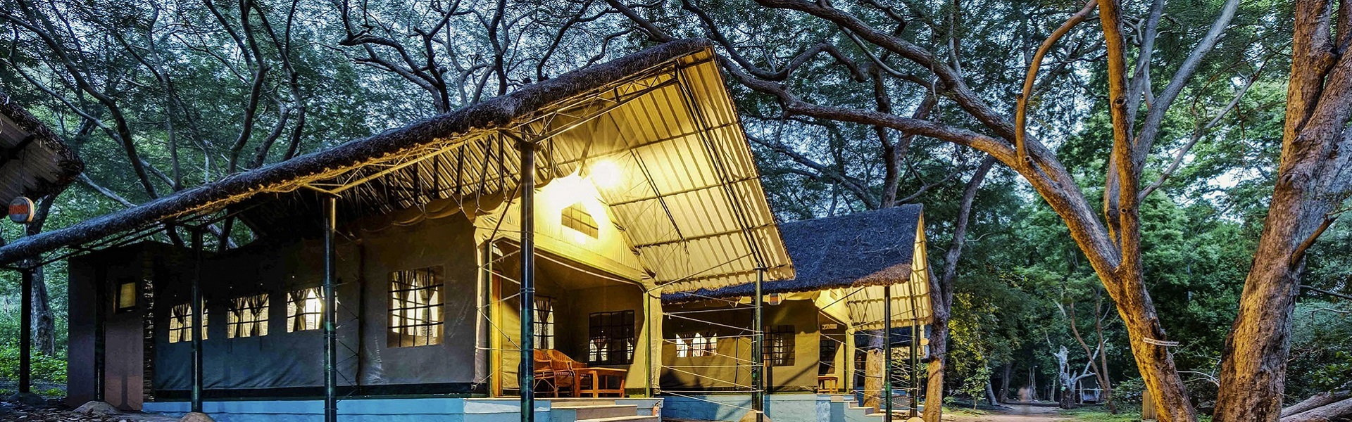 Why Jungle Lodges by JLR Are So Popular in Karnataka